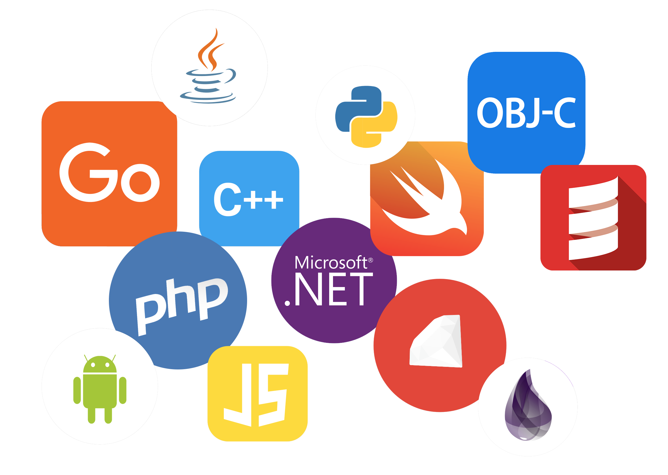 Developer